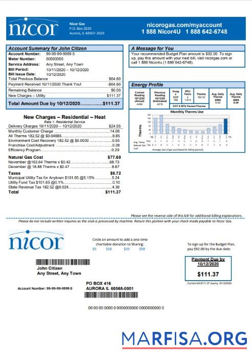 Blank USA Illinois Nicor gas utility bill template in Word and PDF format